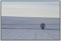 JMS-minimalistes (1)